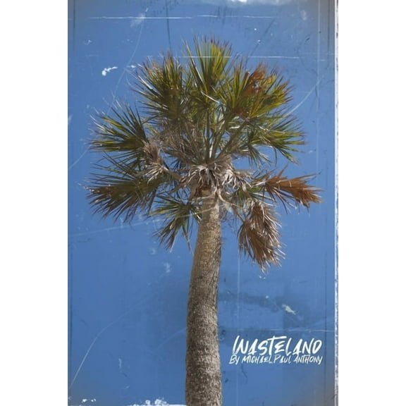 Wasteland, (Paperback)