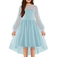 thumbnail image 3 of Odeerbi Kids Girls Tiered Tulle Princess Dresses Evening Gowns Cute Formal Dress Long Sleeve Mesh Party Dress Kids Girls Clothes, 3 of 4