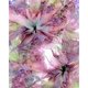 thumbnail image 1 of Cuadros Decorativos Pintura de diamante Ilustración de tinta de color DIY Diamante redondo completo JShteea Nuevos Originales, 1 of 7