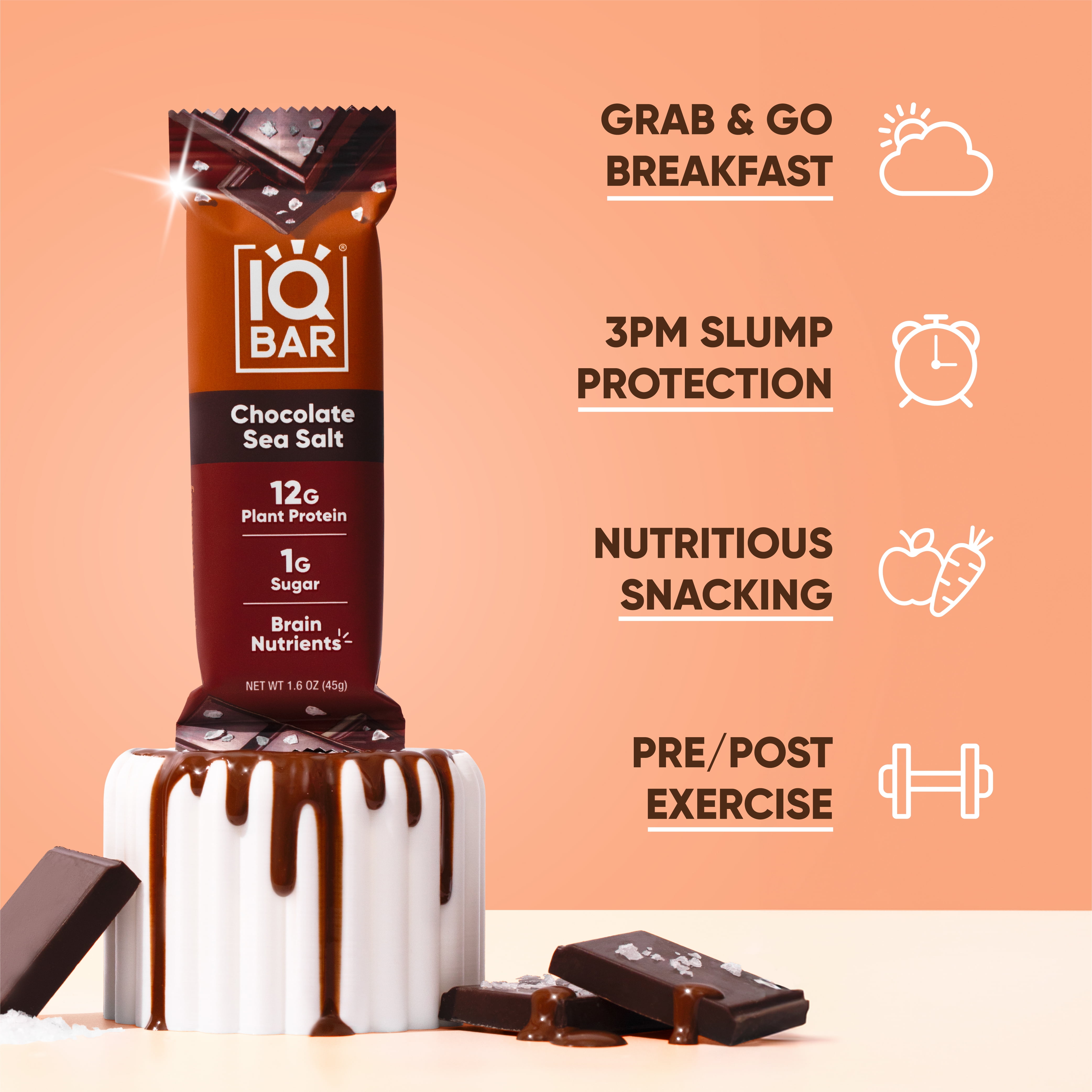 IQBAR Clean Plant Protein Bars - Chocolate Sea Salt - 12 Count - Keto, Vegan, High Fiber, Gluten and Dairy Free, Low Sugar Snack