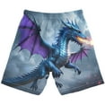 thumbnail image 2 of joogoo Kids Boys Swim Trunks Dragon Flying Beach Board Shorts Drawstring Swimsuit Kid Teen L, 2 of 6