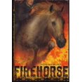 thumbnail image 1 of Pre-Owned Firehorse, 9781416948742, 1416948740, Hardcover,, 1 of 1