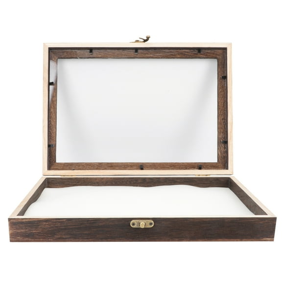 Case Display Insect Specimen Box Wood Frame Exhibit Moth Beetle Glass Wooden