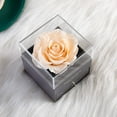 thumbnail image 3 of Preserved Real Rose with Silver-Tone Heart Necklace I Love You in 100 Languages Gift Set, Enchanted Real Rose Flower for Valentine's Day Anniversary Wedding Romantic Gifts for her (Red with Gold), 3 of 15
