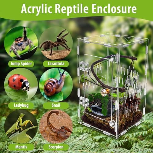 Jumping Spider Enclosure,Large Acrylic Praying Mantis Habitat, 10"*6"*6"Ventilated Insect Terrarium Cage with Front Opening Door for Small Retiles - Arboreal Tarantula,Snails,Bug,Lizard
