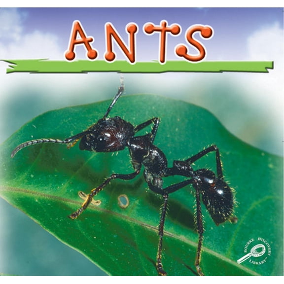 Pre-Owned Ants (Paperback) 1595157387 9781595157386