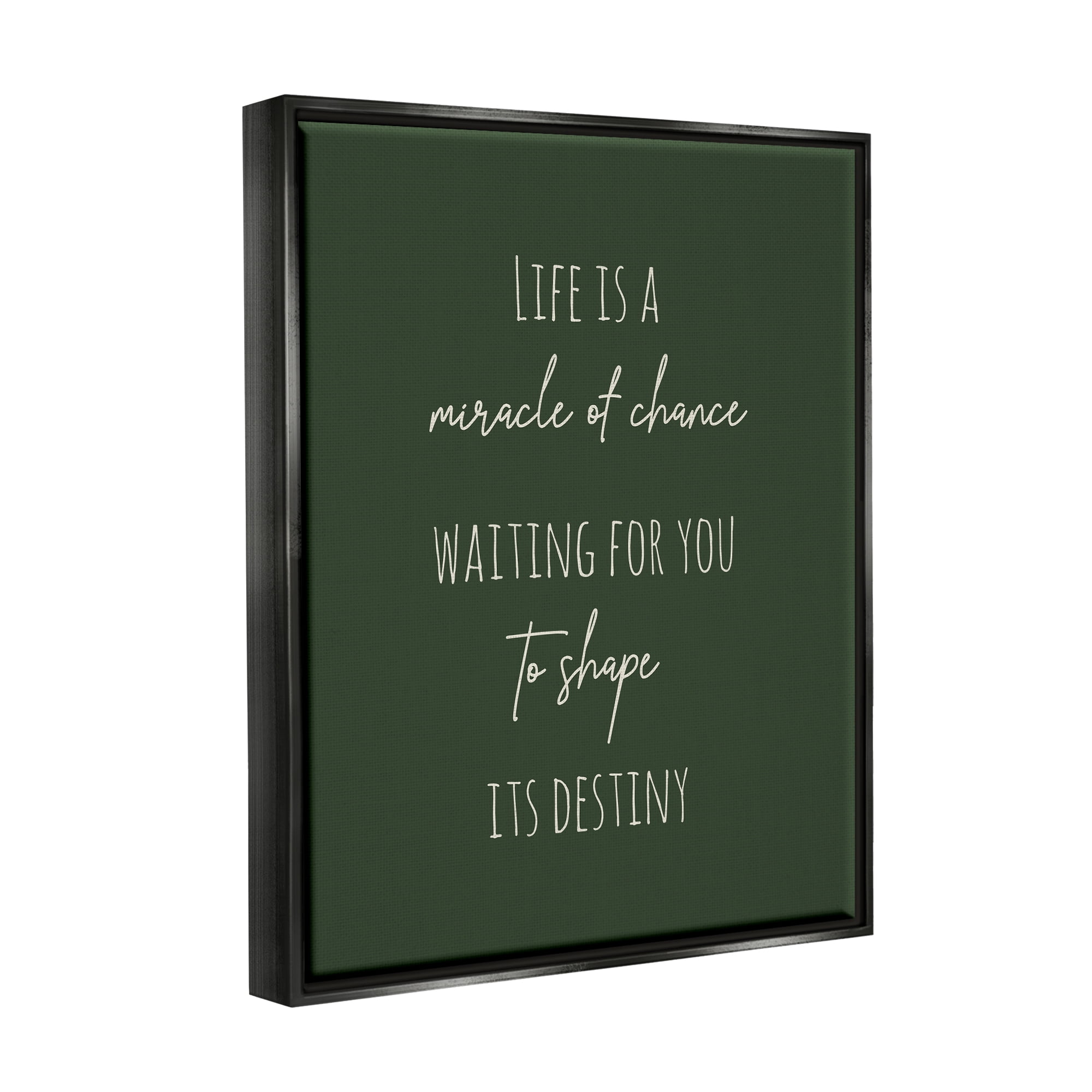 Stupell Industries Shape Life's Destiny Phrase Inspirational Painting Black Floater Framed Canvas Art Print Wall Art, 25 x 31