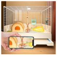 thumbnail image 4 of Cozy Outdoor Pet Rabbit Cage Discover the Ideal Home Rabbit Villa & Plush Rabbit Nest for Joyful Rabbits, 4 of 4