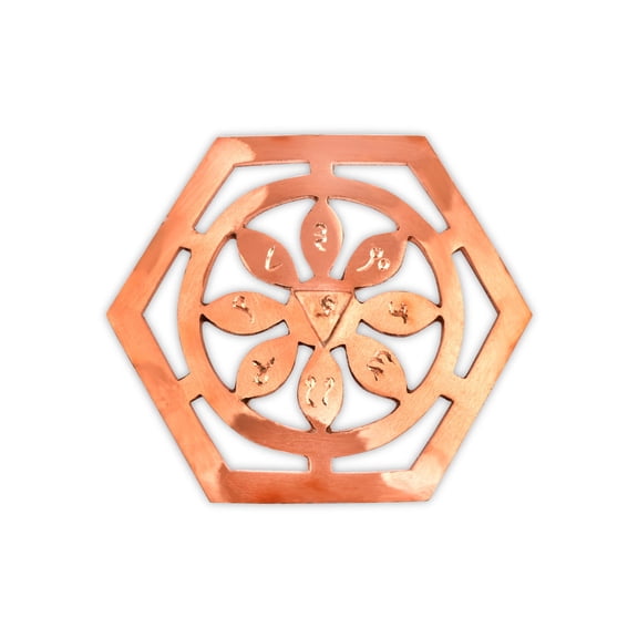 Rudra Centre Bhoum Yantra for South Facing Main Door Vastu Dosh Remedies | Vastu Product Remedies