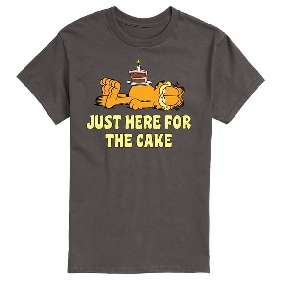 Garfield - Just Here For Cake Birthday - Men's Short Sleeve Graphic T-Shirt