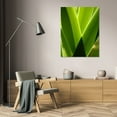 thumbnail image 3 of Erin Berzel 31x44 Gallery Wrapped Canvas Wall Art Titled - Leaves and Light II, 3 of 4