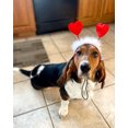 thumbnail image 5 of Midlee Valentine's Heart Large Dog Headband, 5 of 5