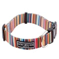 thumbnail image 1 of Collar de perro Lucky Love con estampado de arcoíris para perros grandes, 1 of 8