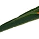 thumbnail image 5 of 5 piezas artificiales, flores de gladiolos, arreglo de plástico, ramo , para bodas jardín para hogar (rosa) Yuyangstore Flor artificial, 5 of 8