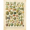 thumbnail image 2 of Babbitt, Gwendolyn 12x14 Gold Ornate Wood Framed with Double Matting Museum Art Print Titled - French Fruit Chart, 2 of 4