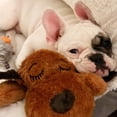 thumbnail image 2 of Juguete de Ayuda Conductual SmartPetLove Snuggle Puppy marrón Mutt, 2 of 9