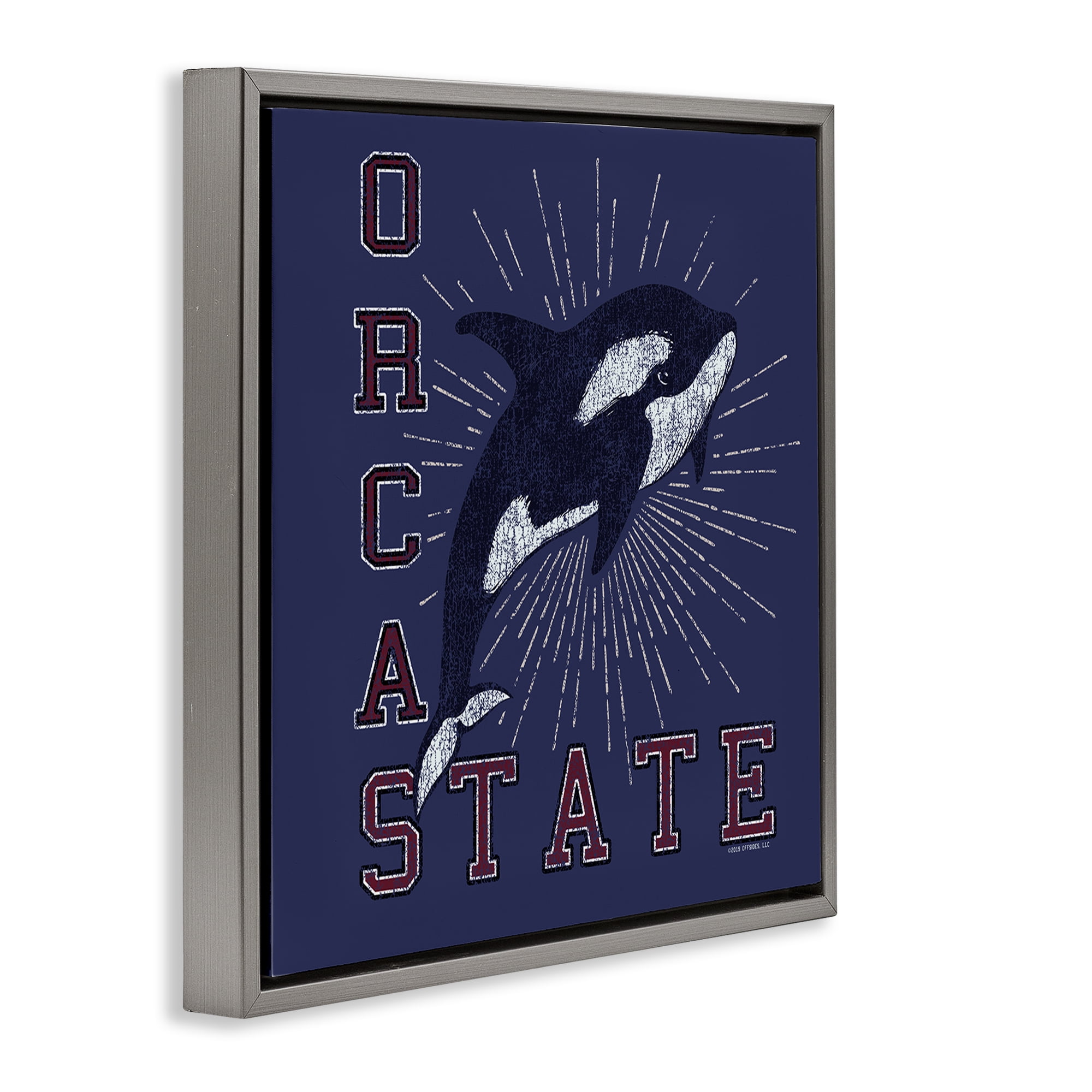 Stupell Industries Orca State Varsity Animals Painting Gray Floater Framed Canvas Art Print Wall Art, 18 x 18