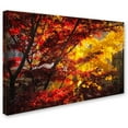 thumbnail image 2 of Trademark Fine Art "Transits" Canvas Art by Philippe Sainte-Laudy, 2 of 3
