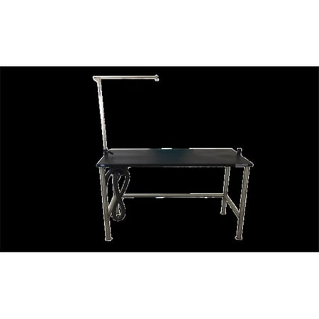 Groomers Best GB48SST 48 in. Stainless Steel Stationary Grooming Table with Arm 18