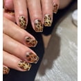 thumbnail image 2 of Uñas Postizas Pethawata Ojo de Gato Leopardo Cortas 10 Piezas, 2 of 5
