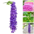 thumbnail image 2 of Wisteria Hanging Flowers, 3.6 Feet/Pcs Wisteria Artificial Flowers, Fake Wisteria Flowers Garland, Hanging Wisteria Vines for Bedroom Wedding Home Party Wall Decoration,Deep Purple,31.49", 2 of 9