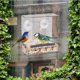thumbnail image 2 of Comedero para pájaros de ventana, 1 pieza, comedero para pájaros de acrílico para exteriores, ventana con 3 ventosas, transparente, con estante extraíble, comedero para pájaros para, 2 of 5
