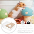 thumbnail image 6 of Beaupretty Sand Bath Box Acrylic Clear Transparent for Small Pets Hamster Toilet, 6 of 8