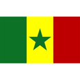 thumbnail image 3 of Bandera de 12 Zulema Copa Del 2018 Bandera de Palo Bandera de Senegal, 3 of 8