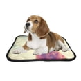 thumbnail image 2 of PKQWTM Golden Retriever Toned Retro Vintage Filter Sunglasses Pet Dog Cat Bed Pee Pads Mat Cushion Potty Dogsblankets Crate Bed Kennel 25x30 inch, 2 of 3