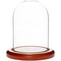 Plymor 3" x 4" Glass Display Dome Cloche (Walnut MDF Base)