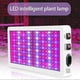 thumbnail image 4 of 1000w 216 Led Grow Light Full Spectrum Indoor Plant Lamp - JA, 4 of 5