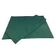 thumbnail image 1 of Respaldo de lona y tela para asiento para silla/taburete de director plegable cruzado Sin silla Verde, 1 of 9