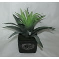 thumbnail image 2 of Jeco HD-BT012 11 in. Artifical Succulent Garden, 2 of 2