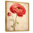 thumbnail image 2 of Designart "Nostalgic Bloom Fantasy III" Ranunculus Floater Framed Canvas Prints, 2 of 5