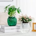 thumbnail image 2 of Transparent Pumpkin Flower Pot Thickened Visible Water Level Lazy Basin Home, 2 of 18