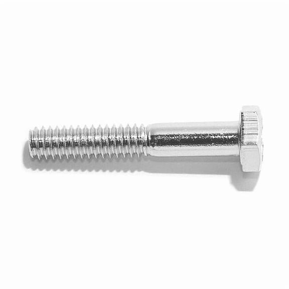 316, 1/4"-20 Hex Head Cap Screw, NL-19 Stainless Steel, 2 in L, 10 PK