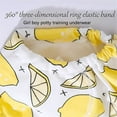 thumbnail image 3 of Kids Training Underwear 2t-3t 6-Layer Leakproof Machine Washable Multiple Sizes, 3 of 7