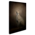 thumbnail image 3 of Trademark Fine Art Jai Johnson The Elegant Cheetah Canvas Wall Art - 16x24, 3 of 4