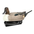 thumbnail image 3 of Avian X Power Swimmer Pintail Drake Motion Duck Decoy, 3 of 3