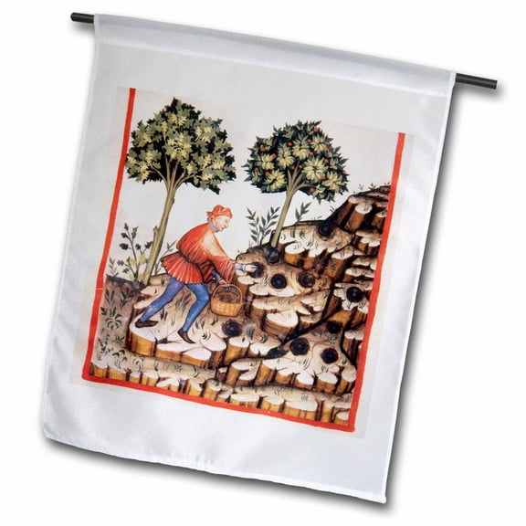 3dRose, Tacuinum Sanitatis, Medieval Health, Illustration - HI13 PRI0233 - Prisma, 12 x 18 inch Garden Flag