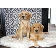 thumbnail image 5 of Paw Brands Dog Bed Faux Fur Memory Foam Pet Bed White Curve 60L X 35w inches, 5 of 7