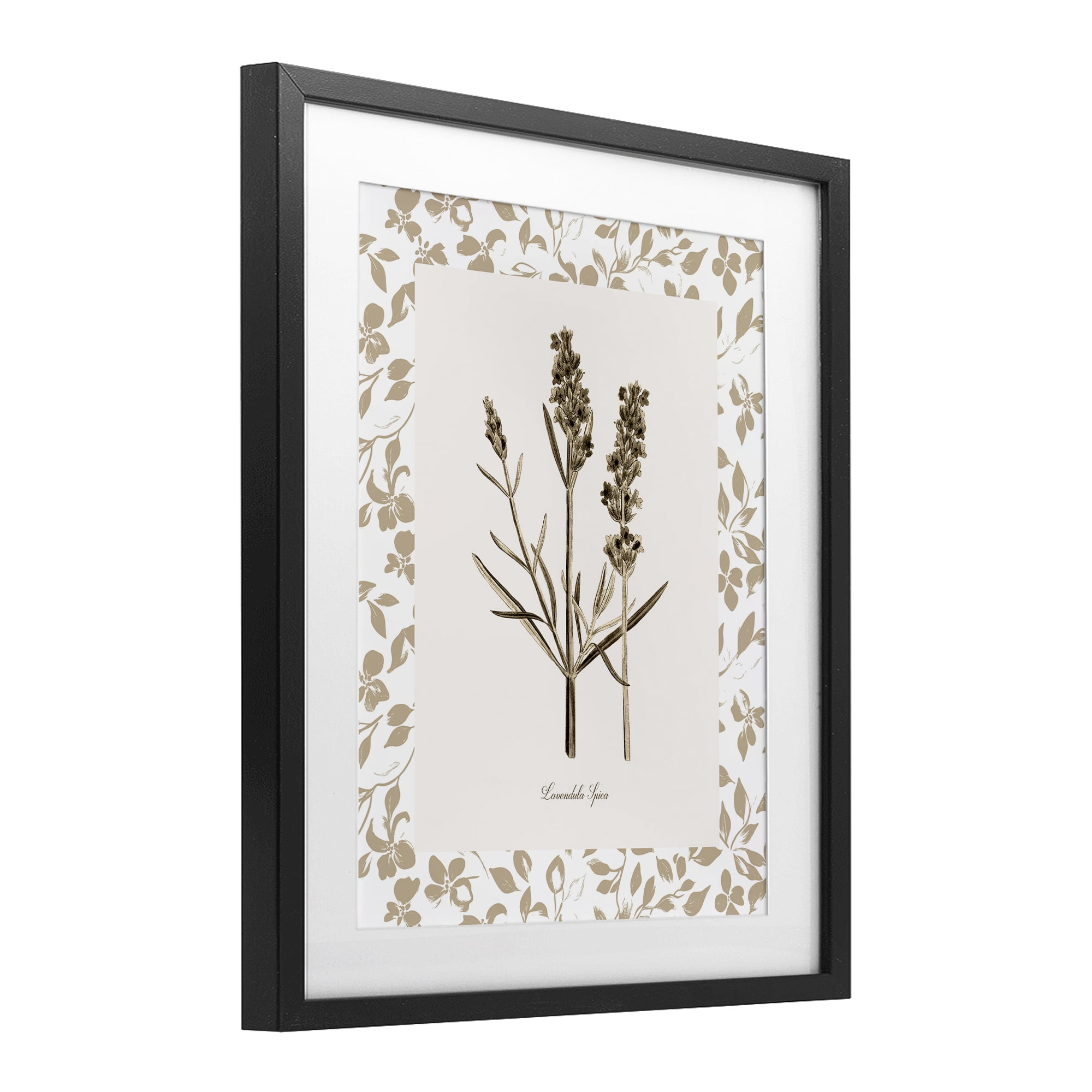 Stupell Industries Neutral Imperial Herb Study Black Framed Print Under Glass, design by Kelly Donovan