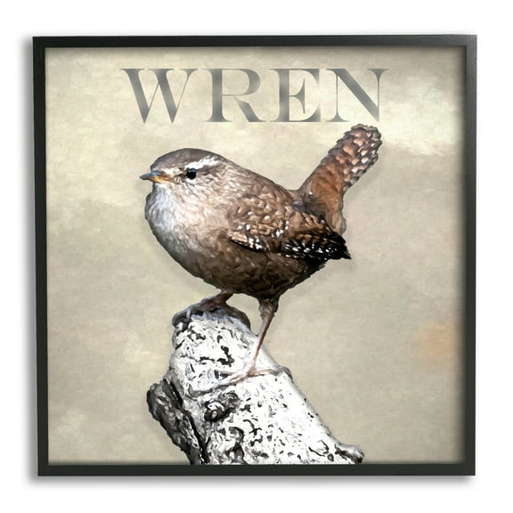 Stupell Industries Wren Bird Standing Casual Nature Breed Typography Graphic Art Black Framed Art Print Wall Art, Design by Alpenglow Workshop