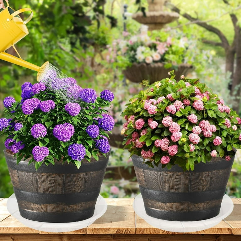 6 Pack of 12 inch Plant Saucer Plant Tray, Plastic Plant Saucer 12 inch,  Heavy Duty Plant Tray for Pots, Plant Saucers for Indoors Planter, Garden  ...