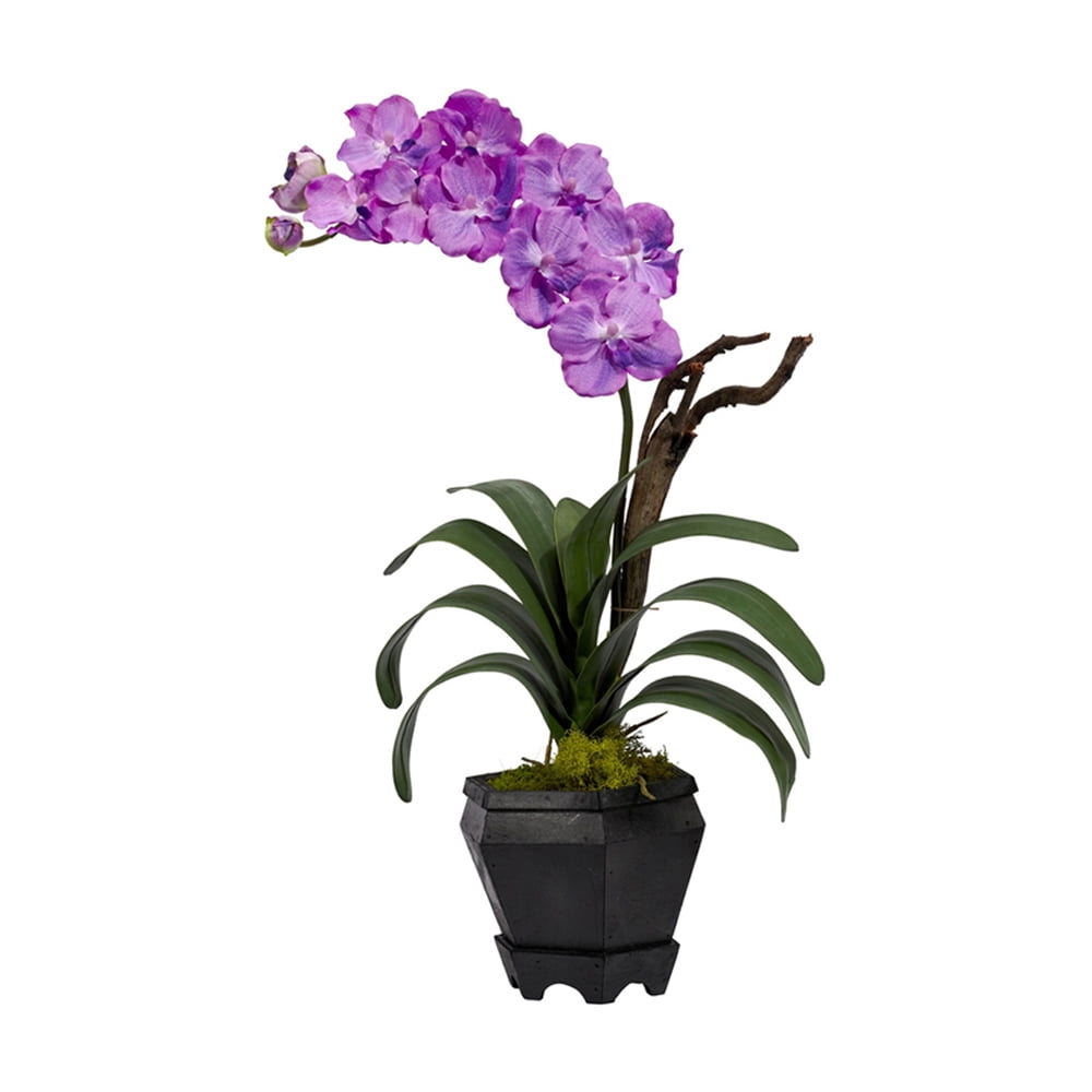 Vanda Silk Arrangement with Black Hexagon Vase, Purple - Walmart.com