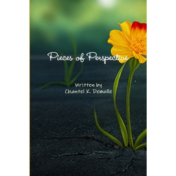 Pieces of Perspective (Paperback)