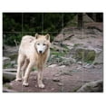 thumbnail image 1 of Wolf Wolves Ceramic Tile Mural Kitchen Backsplash Bathroom Shower, 403136-XL54, 1 of 3
