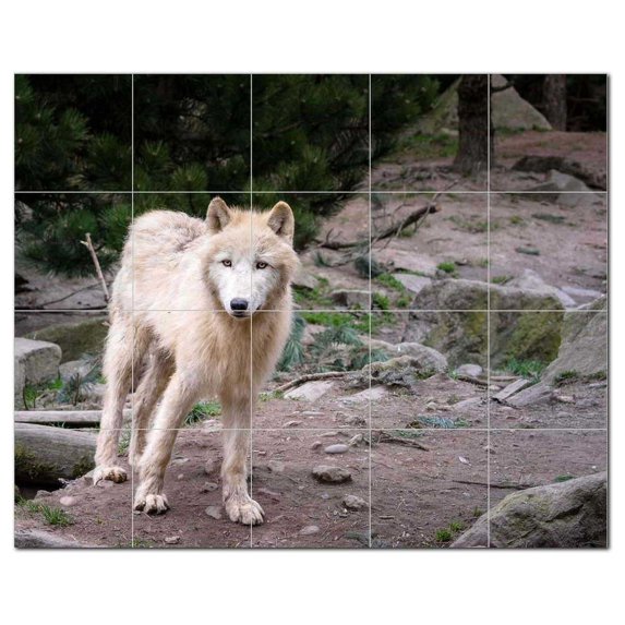 Wolf Wolves Ceramic Tile Mural Kitchen Backsplash Bathroom Shower, 403136-XL54