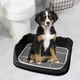 thumbnail image 5 of perros, bandeja de herramientas de limpieza de esquinas de plástico portátil, caja de arena para entrenador de orinal para conejillos de , negro Sunnimix Inodoro con bandeja de arena, 5 of 7