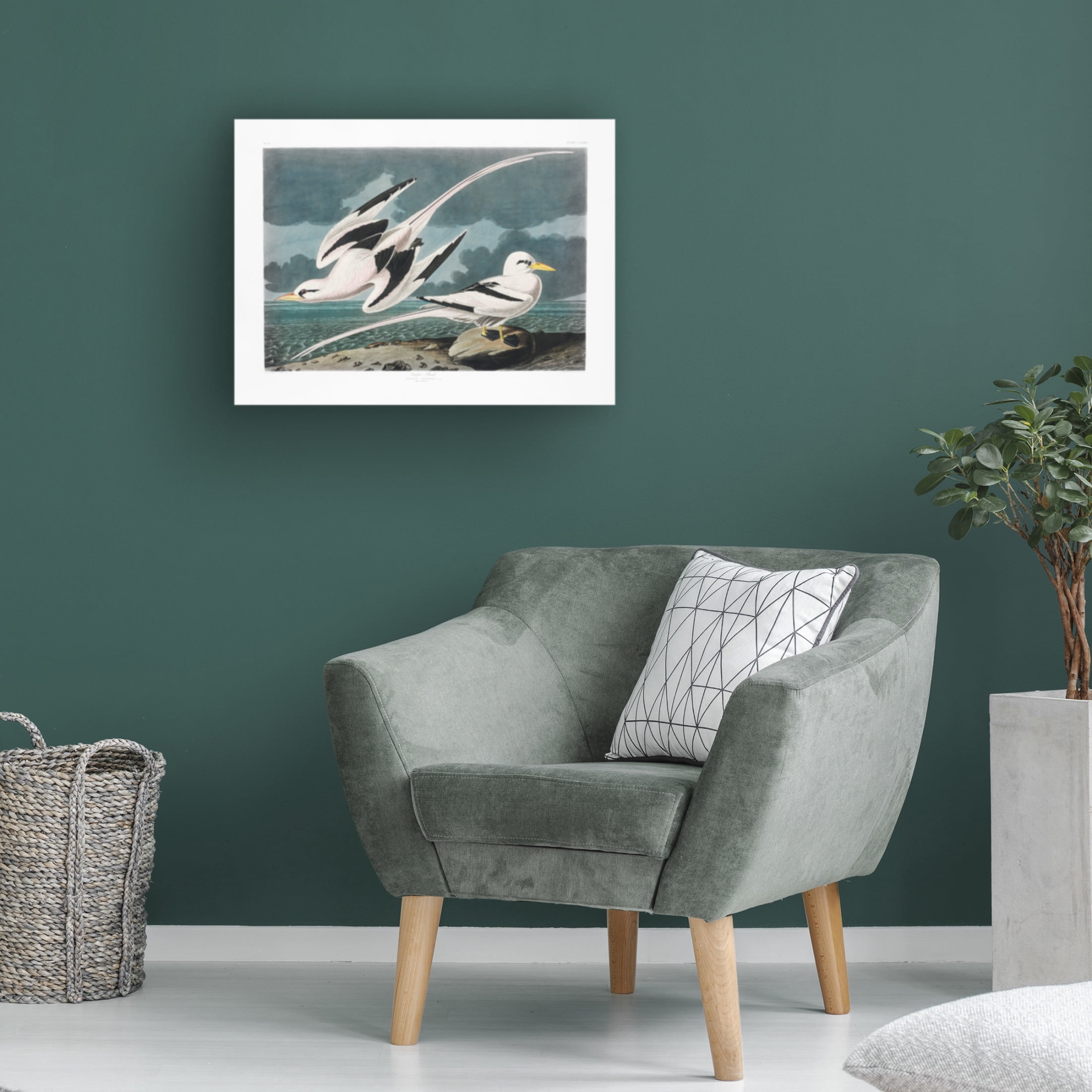 Trademark Fine Art Pictufy   Tropic Bird From Birds of America 1827 Canvas Wall Art
